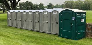 Best Portable Restroom Maintenance and Cleaning  in Johnson Lane, NV