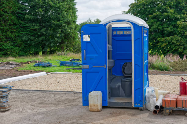 Types of Portable Toilets We Offer in Johnson Lane, NV