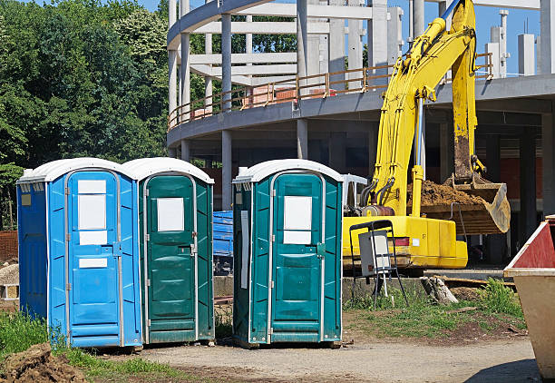 Best Portable Restroom Removal and Pickup  in Johnson Lane, NV